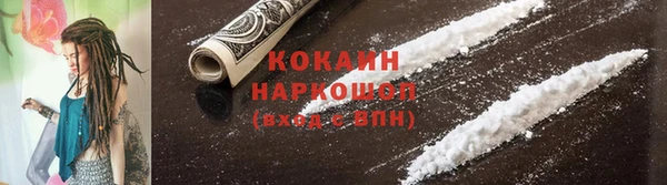 прущие грибы Абинск