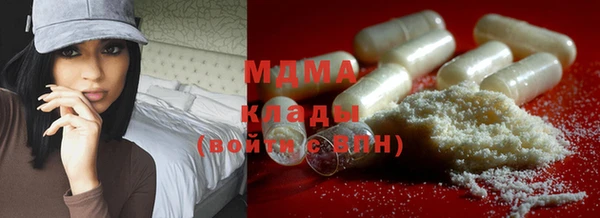 прущие грибы Абинск
