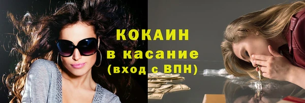 прущие грибы Абинск
