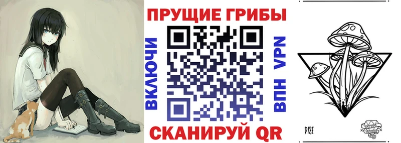 Псилоцибиновые грибы прущие грибы  Кировград 