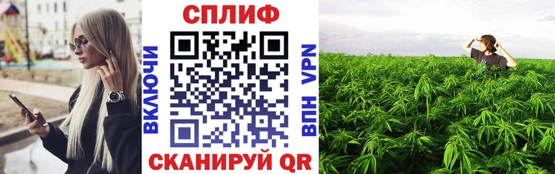 Бошки Шишки индика  KRAKEN зеркало  Кировград  даркнет сайт 